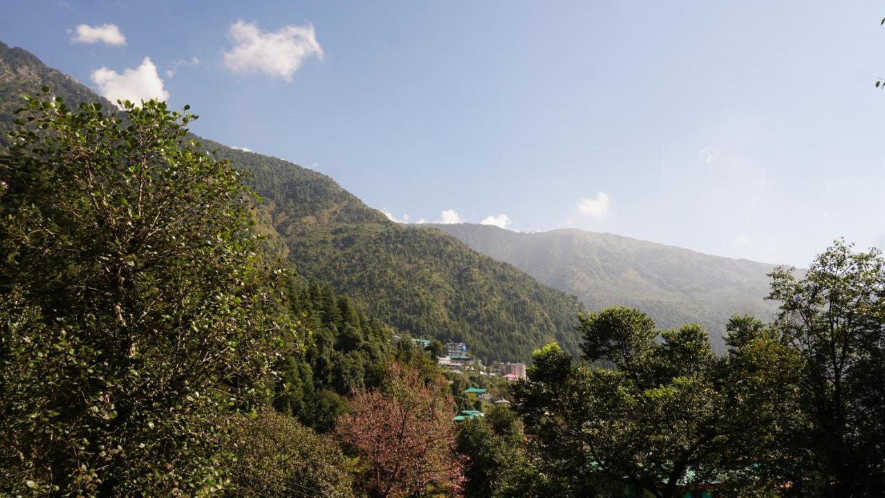 Angela'S Boutique Homes Dharamkot Dharamszala Kültér fotó