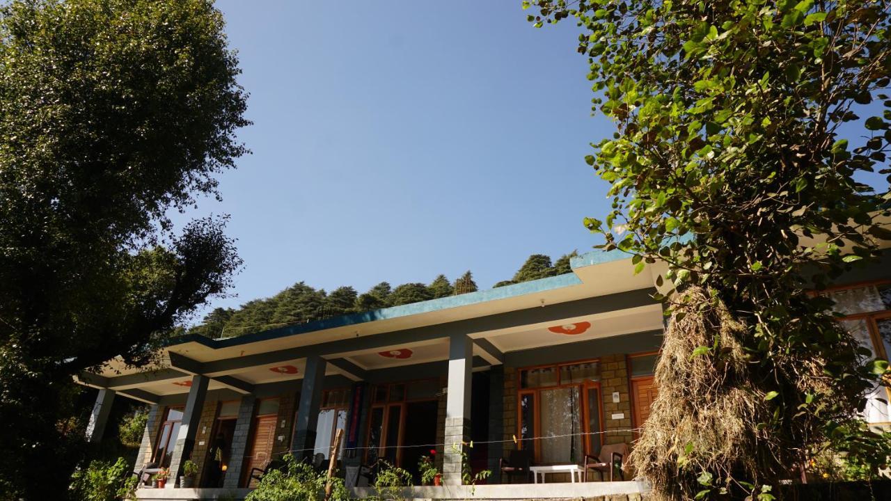 Angela'S Boutique Homes Dharamkot Dharamszala Kültér fotó